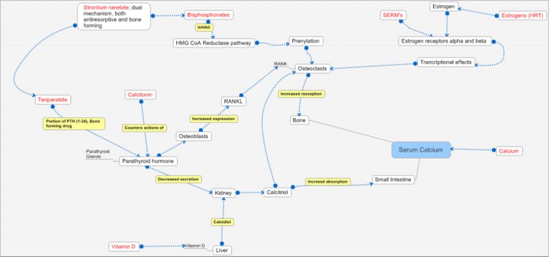  PRODUCT PATHWAY