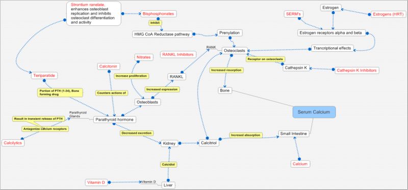  PRODUCT PIPELINE
