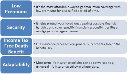 What are the benefits of ReliaStar life insurance?