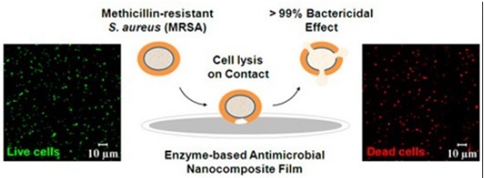 Antimicrobial packaging.jpg