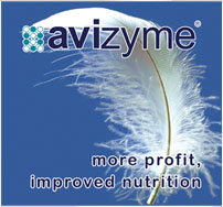 File:Avizyme.png
