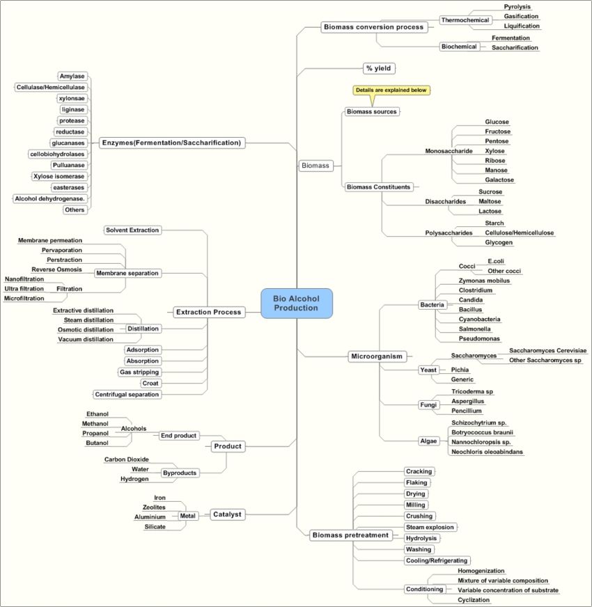 Bioalcohol Production Taxonomyupl.JPG