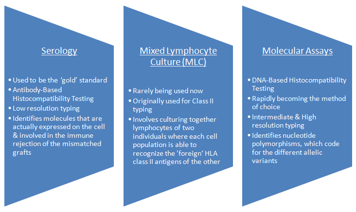 HLA Typing Methods1.png