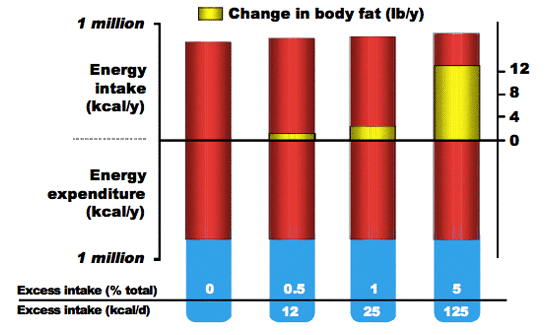 Figure 1. Cumulative effect of small daily imbalances in energy intake on body fat mass