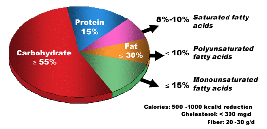 Figure 7. Nutrient content of a weight-reducing diet