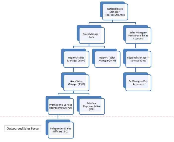 Typical Sales Force Structure1.png