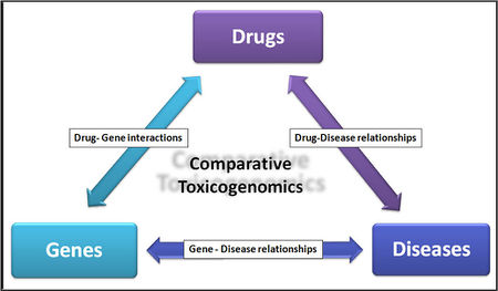 Comparative Toxicogenomics